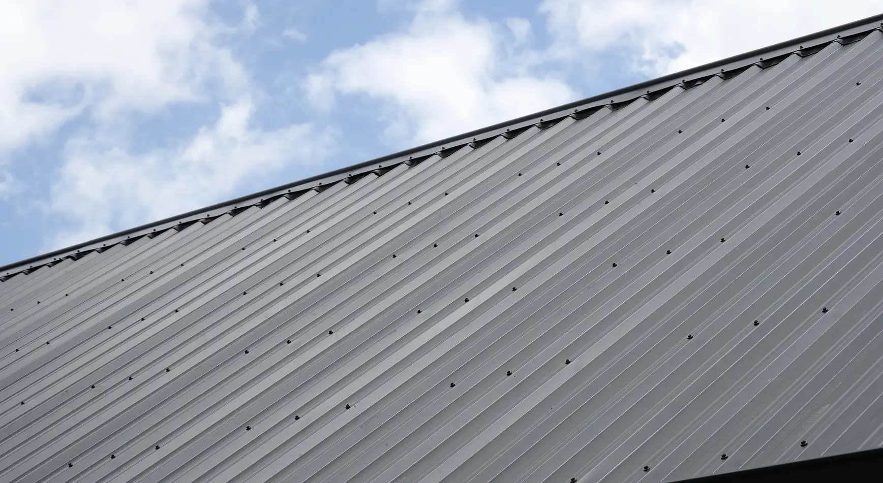 Roofing Contractors In Ballina mb 1